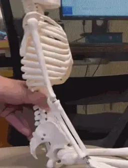 PixPin_2025-08-07_22-24-191-ezgif.com-gif-to-webp-converter