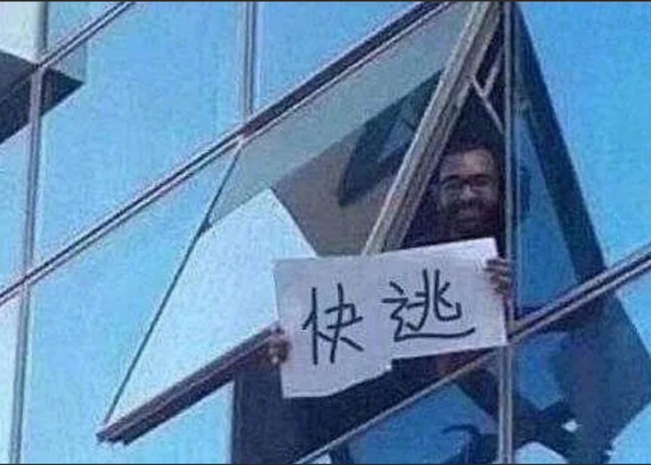 大家最喜欢的算法
