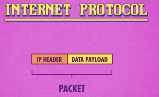 IP